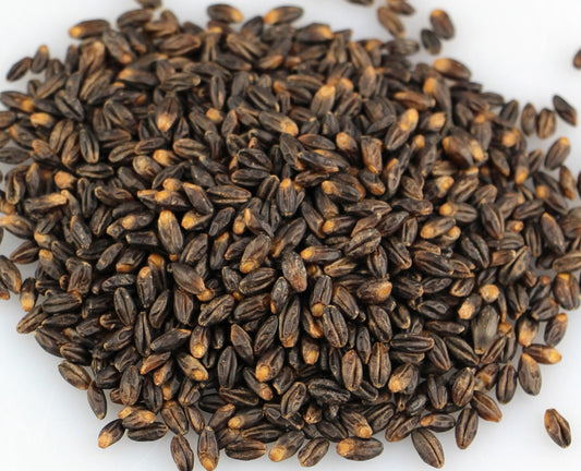 Black barley - the heirloom grain