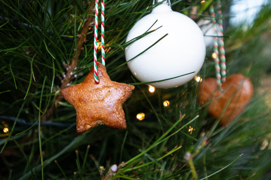 Recipe: Lebkuchen Christmas decorations