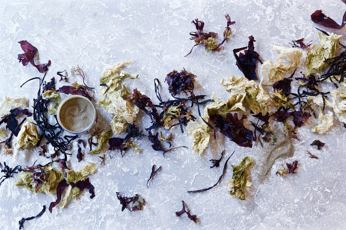 The Essential Ingredient seaweed collection