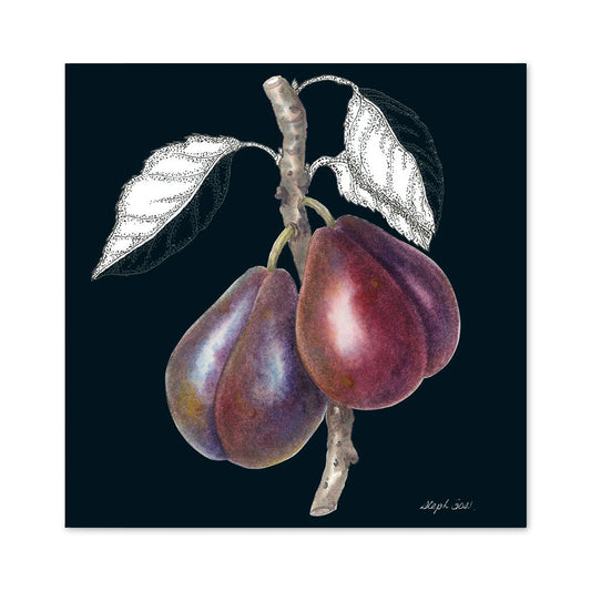 Plums on Black Greeting Card