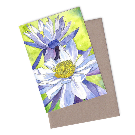 Native Water Lily Greeting Card