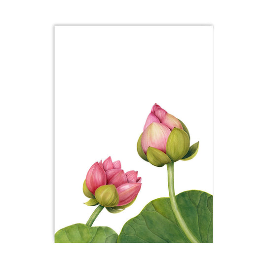 Lotus Buds Greeting Card