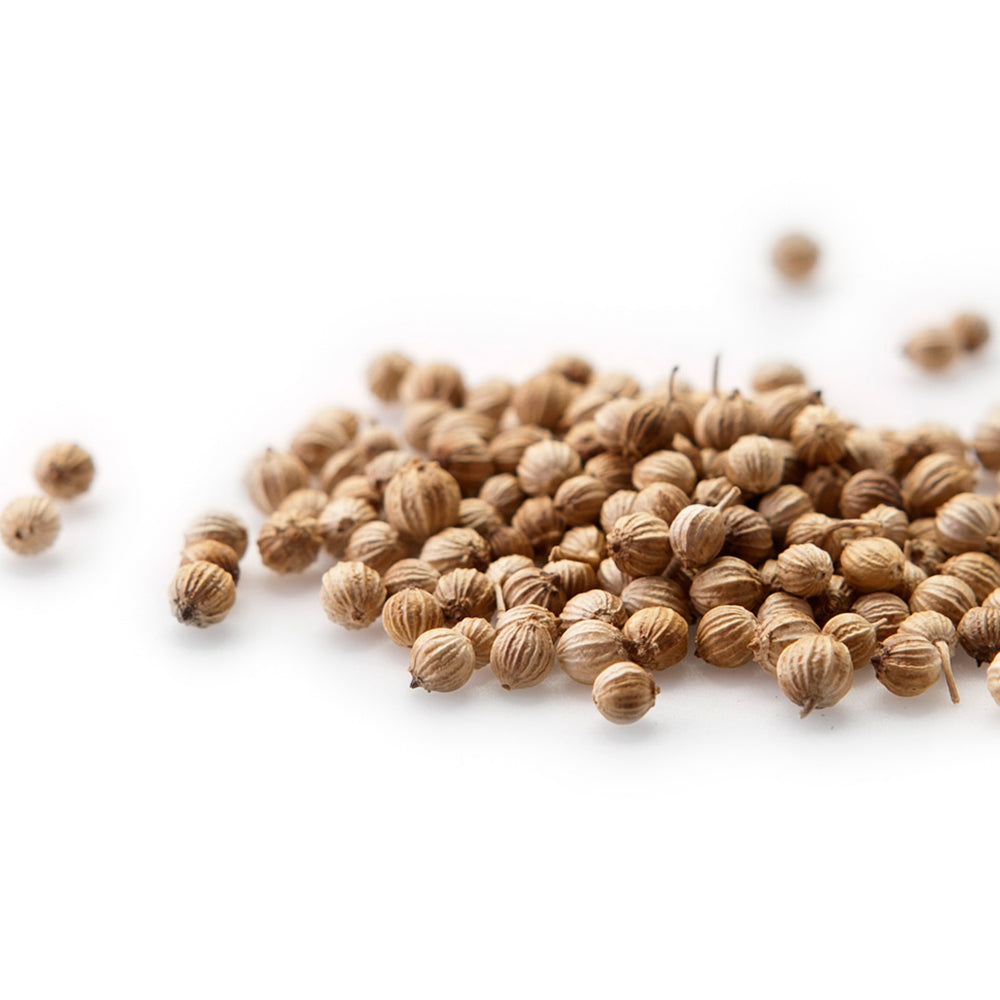 The Essential Ingredient Whole Coriander Seeds
