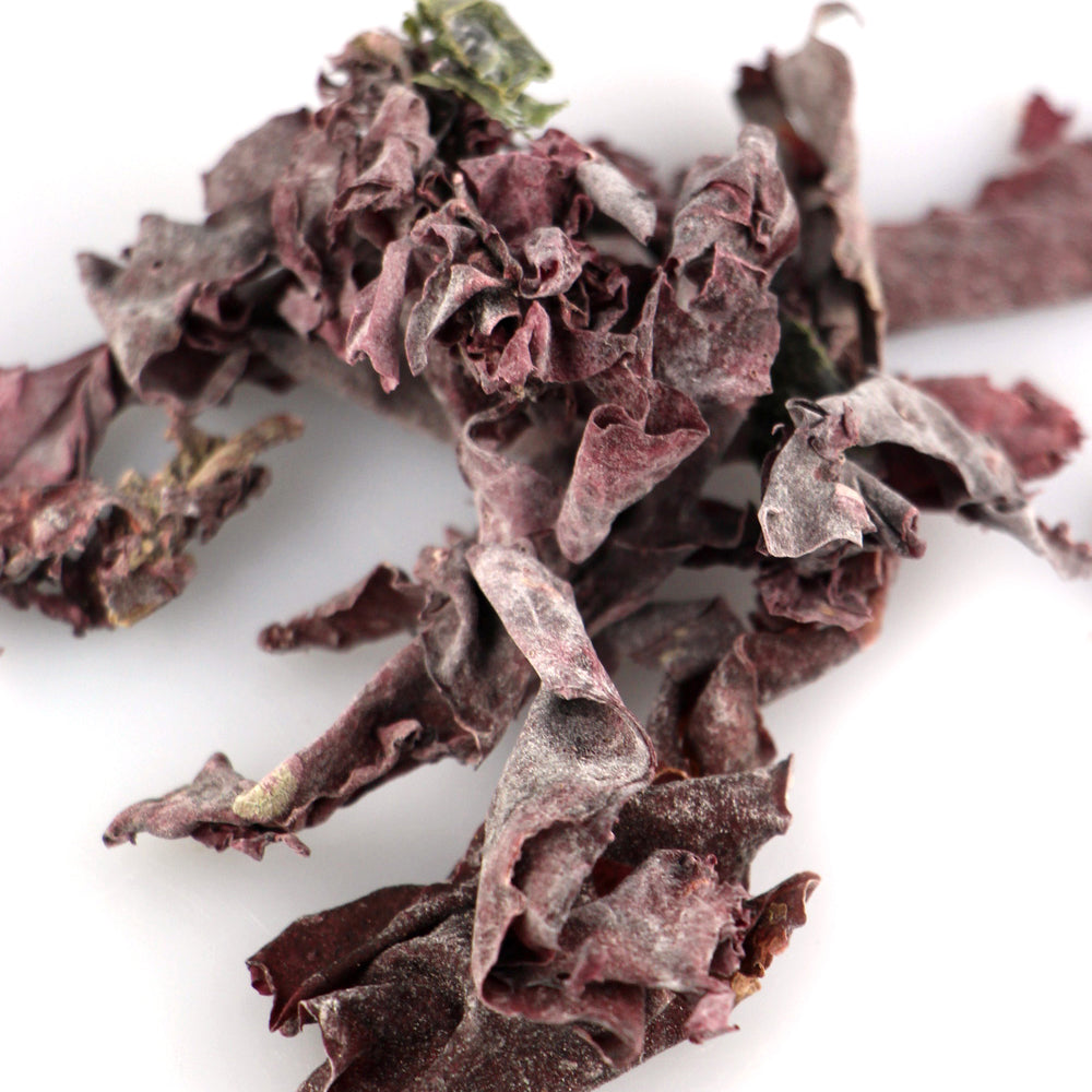 The Essential Ingredient Dried Dulse Seaweed